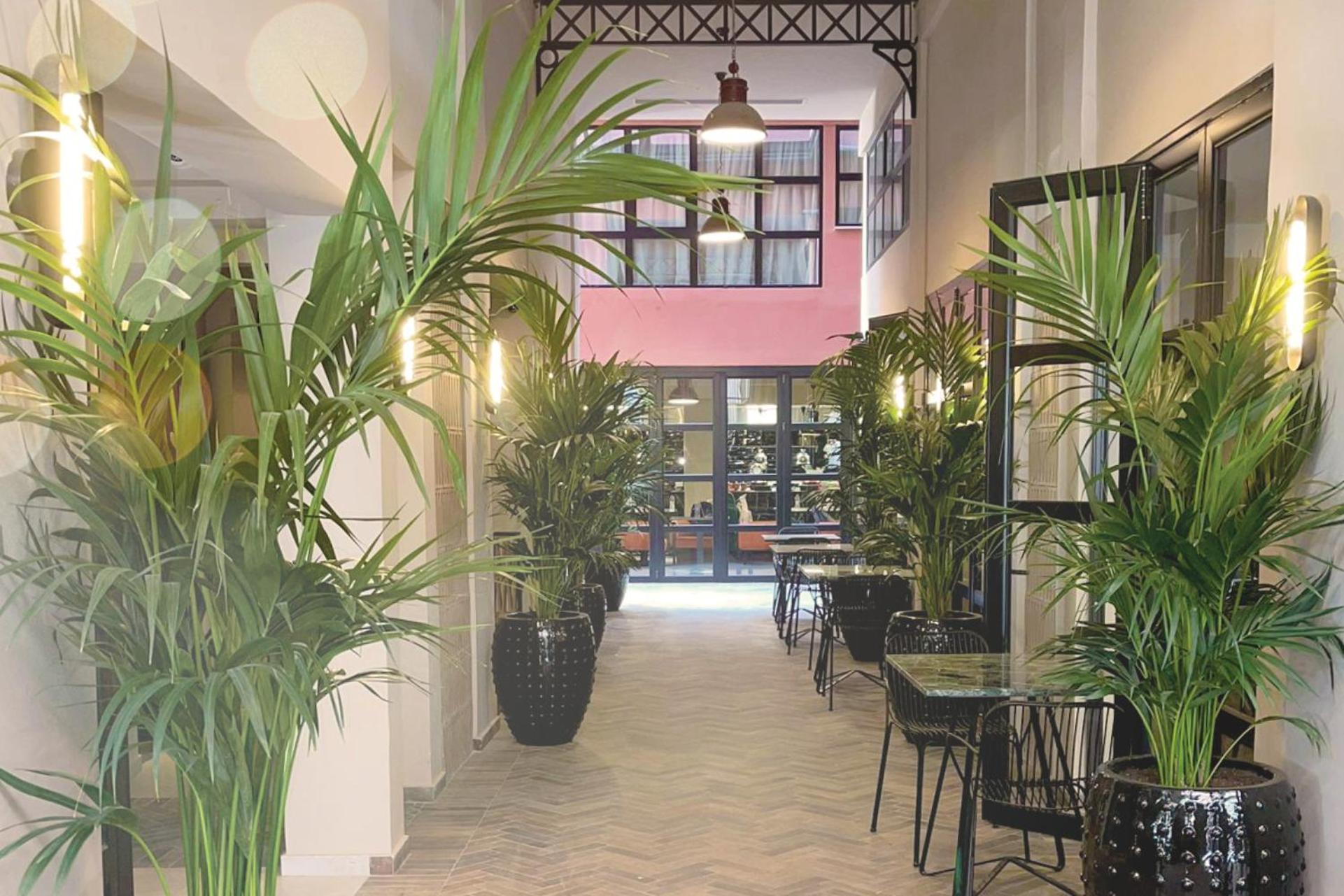 Anise, Aluma Hotels & Resorts Atina Dış mekan fotoğraf